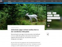 Bild zum Artikel: Seltenheit: Jäger sichtet weißes Reh in der nördlichen Oberpfalz