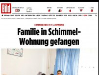 Bild zum Artikel: 6 Menschen in 1½ Zimmern - Familie in Schimmel- Wohnung gefangen