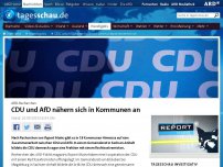 Bild zum Artikel: CDU und AfD nähern sich in Kommunalparlamenten an