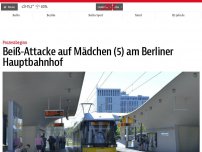 Bild zum Artikel: Beiß-Attacke auf Mädchen (5) am Berliner Hauptbahnhof