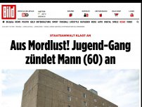 Bild zum Artikel: Staatsanwalt klagt an - Jugend-Gang wollte Mann (60) verbrennen