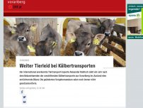 Bild zum Artikel: Experte: Trotz Änderungen weiter Tierleid