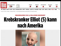 Bild zum Artikel: Rekordsumme gespendet - Krebskranker Elliot (5) kann nach Amerika