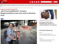 Bild zum Artikel: Drogenumschlagplatz Görlitzer Park  - „Als Frau zu gefährlich“: Grünen-Bürgermeisterin traut sich nicht in Berliner Park