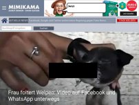 Bild zum Artikel: Frau foltert Welpen: Video auf Facebook und WhatsApp unterwegs