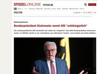 Bild zum Artikel: Rechtspopulismus: Bundespräsident Steinmeier nennt AfD 'antibürgerlich'