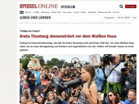 Bild zum Artikel: 'Fridays for Future': Greta Thunberg demonstriert vor dem Weißen Haus