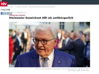 Bild zum Artikel: Völkisches Denken: Steinmeier bezeichnet AfD als antibürgerlich