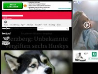 Bild zum Artikel: Herzberg: Unbekannte vergiften sechs Huskys