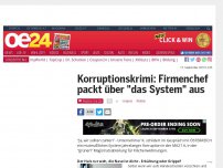 Bild zum Artikel: Korruptionskrimi: Firmenchef packt über 'das System' aus