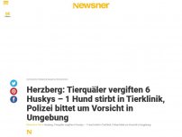 Bild zum Artikel: Herzberg: Tierquäler vergiften 6 Huskys – 1 Hund stirbt in Tierklinik, Polizei bittet um Vorsicht in Umgebung