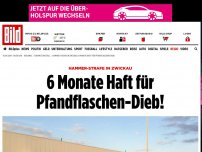 Bild zum Artikel: Hammer-Strafe in Zwickau - 6 Monate Haft für Pfandflaschen-Dieb!