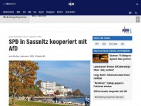 Bild zum Artikel: SPD in Sassnitz kooperiert mit AfD