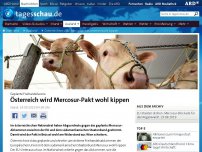 Bild zum Artikel: Österreich wird EU-Mercosur-Abkommen wohl kippen
