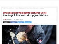 Bild zum Artikel: Shitstorm gegen Hamburgs Polizei: Empörung über Würgegriffe bei Klima-Demo
