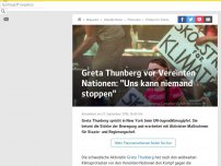 Bild zum Artikel: Greta Thunberg vor Vereinten Nationen: 'Uns kann niemand stoppen'