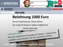 Bild zum Artikel: Kein Fake: Tierquäler vergiftete sechs Huskys