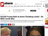 Bild zum Artikel: UN-Klimagipfel : Donald Trump läuft an Greta Thunberg vorbei – ihr Blick verrät alles