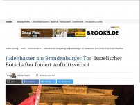 Bild zum Artikel: Judenhasser am Brandenburger Tor: Terror-Verherrlicher treten in Berlin auf