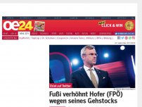Bild zum Artikel: SPÖ-Berater Fußi verhöhnt Hofer (FPÖ) wegen seines Gehstocks