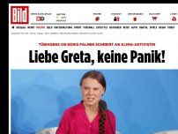 Bild zum Artikel: Tübingens OB Boris Palmer - Liebe Greta, keine Panik!