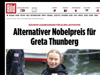 Bild zum Artikel: Nächste auszeichnung für Klima-Aktivistin - Alternativer Nobelpreis für Greta Thunberg