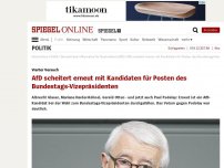 Bild zum Artikel: Vierter Versuch: AfD scheitert erneut mit Kandidaten für Posten des Bundestags-Vizepräsidenten