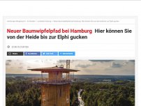Bild zum Artikel: Baumwipfelpfad bei Hamburg eröffnet: Hier können Sie von der Heide bis zur Elphi gucken