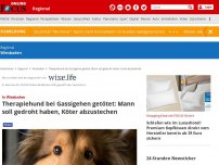 Bild zum Artikel: Wiesbaden - Wiesbaden-Auringen: Therapiehund beim Gassigehen getötet - Collie stirbt vor Augen seiner Besitzerin