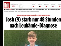 Bild zum Artikel: Es begann mit Schnupfen - Josh (9) starb 48 Stunden nach Leukämie-Diagnose
