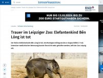 Bild zum Artikel: Trauer im Leipziger Zoo: Elefantenkind Bên Lòng ist tot