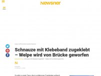 Bild zum Artikel: Schnauze mit Klebeband zugeklebt – Welpe wird von Brücke geworfen