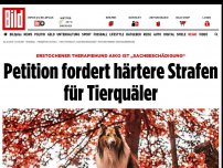 Bild zum Artikel: Erstochener Therapiehund Aiko - „Sachbeschädigung“– Petition fordert neues Gesetz