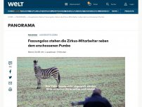 Bild zum Artikel: Fassungslos stehen die Zirkus-Mitarbeiter neben dem erschossenen Pumba