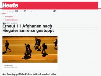 Bild zum Artikel: Erneut 11 Afghanen nach illegaler Einreise gestoppt