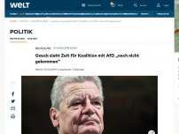 Bild zum Artikel: Gauck sieht Zeit für Koalition mit AfD „noch nicht gekommen“