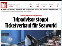 Bild zum Artikel: Tierhaltung nicht artgerecht - Tripadvisor stoppt Ticketverkauf für Seaworld