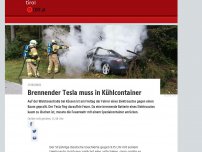 Bild zum Artikel: Brennender Tesla landet in Kühl-Container