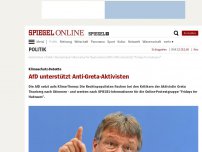 Bild zum Artikel: Klimaschutz-Debatte: AfD unterstützt Anti-Greta-Aktivisten