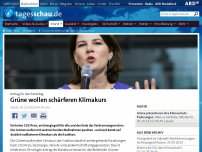 Bild zum Artikel: Grüne Grüne überholen Koalition beim Klimaschutz