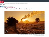 Bild zum Artikel: CO2-Preis viermal teurer: Grüne setzen auf radikaleren Klimakurs