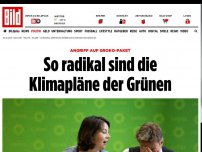 Bild zum Artikel: Angriff auf GroKo-Klimapaket - So radikal sind die CO2-Pläne der Grünen