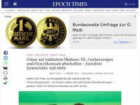 Bild zum Artikel: Grüne auf radikalem Ökokurs: Öl- und Gasheizungen und Fleischkonsum abschaffen – Autofreie Innenstädte und mehr