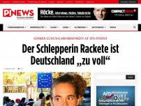 Bild zum Artikel: Linkes Luxus-Labordenken at its finest Der Schlepperin Rackete ist Deutschland „zu voll“