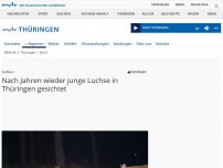 Bild zum Artikel: Thüringen: Nach Jahren wieder junge Luchse gesichtet