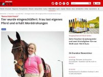Bild zum Artikel: 'Bestes Stück Fleisch' - Tier wurde eingeschläfert: Frau isst eigenes Pferd und erhält Morddrohungen