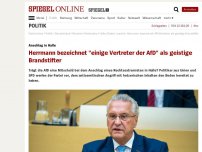 Bild zum Artikel: Anschlag in Halle: Herrmann bezeichnet 'einige Vertreter der AfD' als geistige Brandstifter