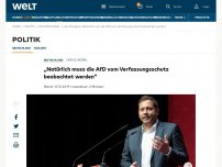 Bild zum Artikel: „Natürlich muss die AfD vom Verfassungsschutz beobachtet werden“