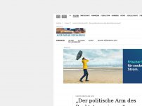 Bild zum Artikel: Harte Kritik an AFD: „Der politische Arm des Rechtsterrorismus“