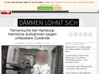 Bild zum Artikel: Tierversuche bei Hamburg: Undercover-Video zeigt grausame Zustände